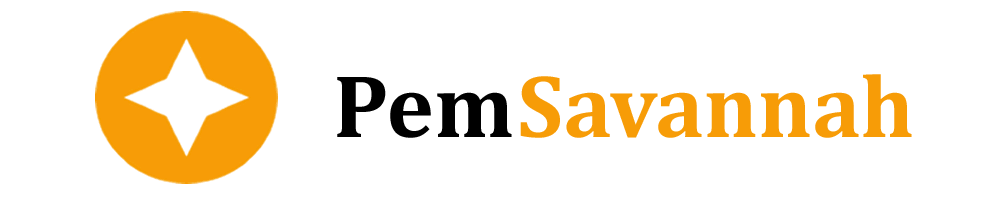 Web Design Services – Responsive Design | PemSavannah